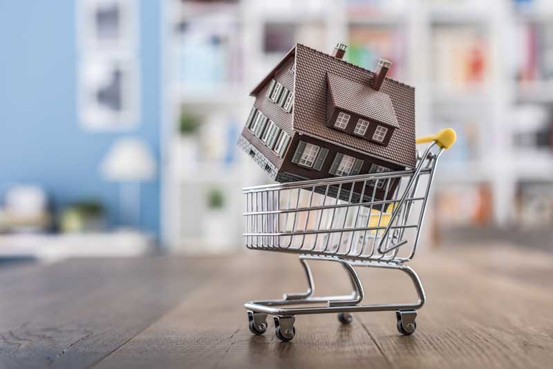 Image of Shopping cart with a house in it
